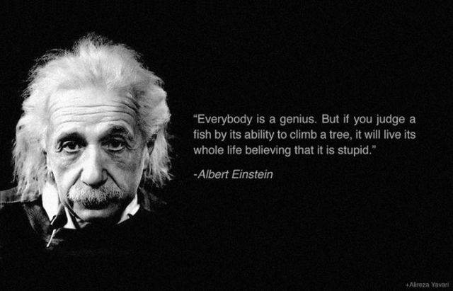 Einstein fish quote